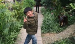 食物链148在线观看,148在线观看之旅